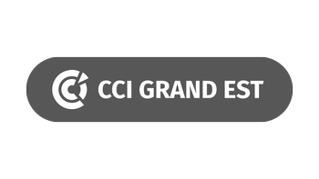 Logo CCI Grand Est N&B_350