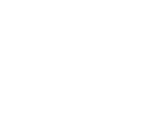 Expand North Star Logo White
