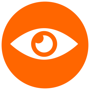 Visibilité Internationale Icon